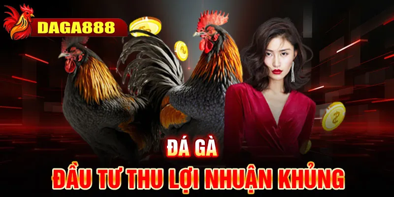 Đá gà - Tham gia bỏ vốn đầu tư thu lợi nhuận khủng